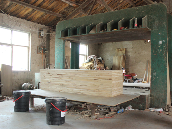 Paulownia Glulam